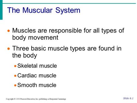 The Muscular System Slide 6.1 Copyright © 2003 Pearson Education, Inc. publishing as Benjamin Cummings  Muscles are responsible for all types of body.