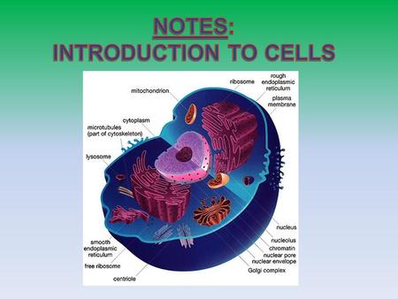 NOTES: INTRODUCTION TO CELLS.