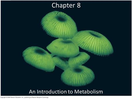 Chapter 8 An Introduction to Metabolism. Overview: The Energy of Life The living cell is a miniature chemical factory where thousands of reactions occur.