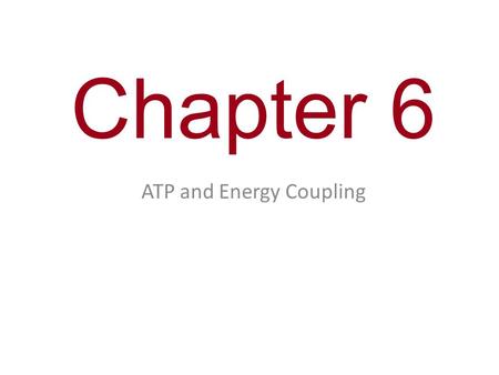 Chapter 6 ATP and Energy Coupling.  G  0  G  0 Equilibrium = Death At equilibrium, forward and reverse reactions occur at the same rate; it is a state.