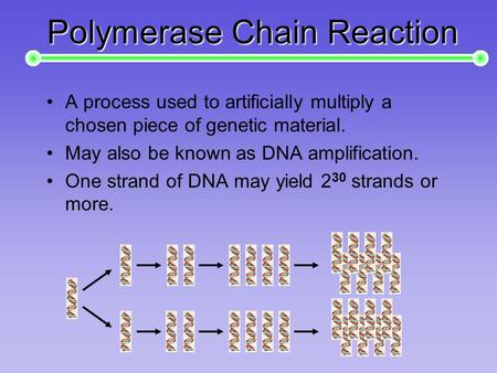 Polymerase Chain Reaction A process used to artificially multiply a chosen piece of genetic material. May also be known as DNA amplification. One strand.