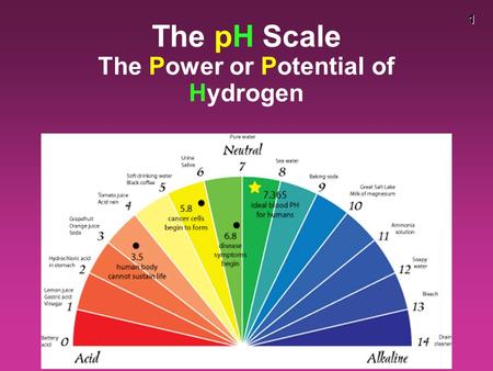 1 The pH Scale The Power or Potential of Hydrogen.