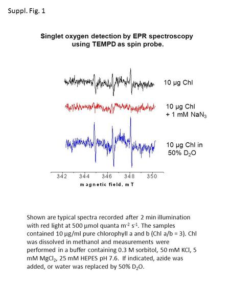 10 µg Chl + 1 mM NaN 3 10 µg Chl in 50% D 2 O Singlet oxygen detection by EPR spectroscopy using TEMPD as spin probe. Shown are typical spectra recorded.