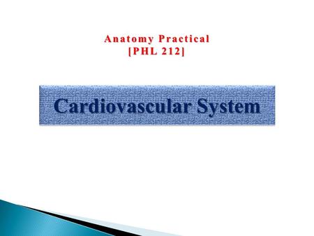 Cardiovascular System Anatomy Practical [PHL 212].