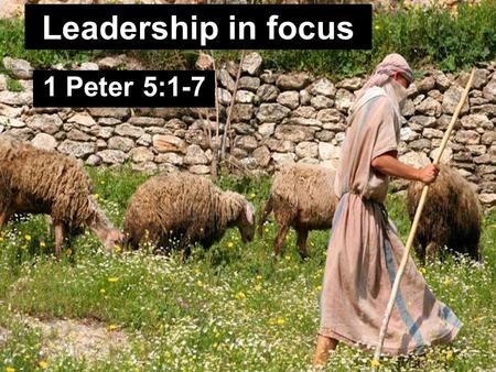 Leadership in focus 1 Peter 5:1-7. Leadership in focus “ Then it happened in the spring, at the time when kings go out to battle, that David sent Joab.