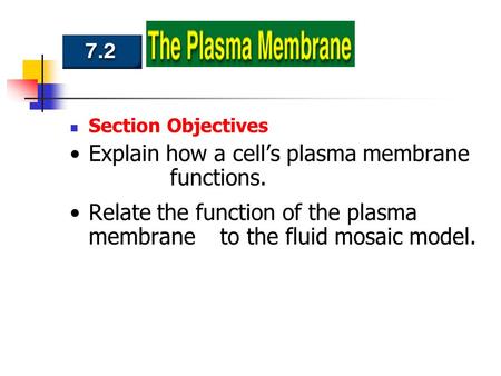 Explain how a cell’s plasma membrane functions.