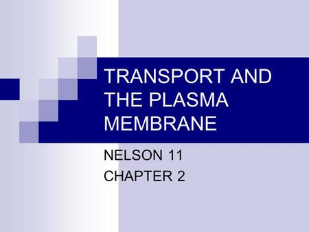 TRANSPORT AND THE PLASMA MEMBRANE