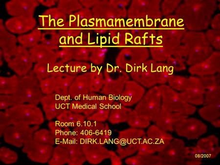 The Plasmamembrane and Lipid Rafts 08/2007 Lecture by Dr. Dirk Lang Dept. of Human Biology UCT Medical School Room 6.10.1 Phone: 406-6419