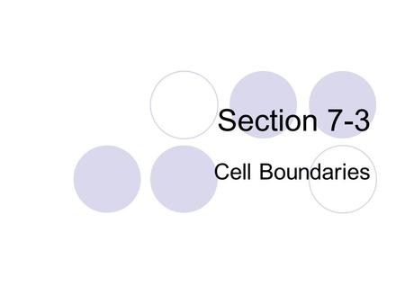 Section 7-3 Cell Boundaries. Plasma Membrane or Cell Membrane The boundary between the cell and its environment. Controls what enters and leaves the cell.