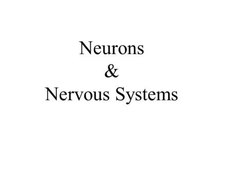 Neurons & Nervous Systems. nervous systems connect distant parts of organisms; vary in complexity Figure 44.1.