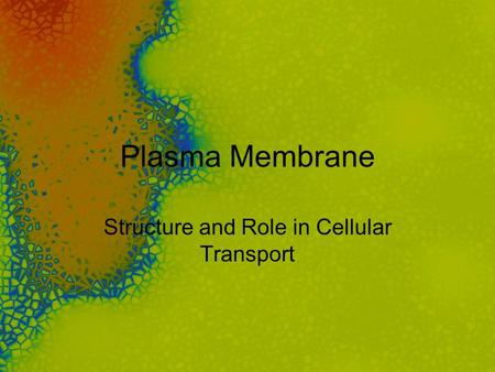 Plasma Membrane Structure and Role in Cellular Transport.