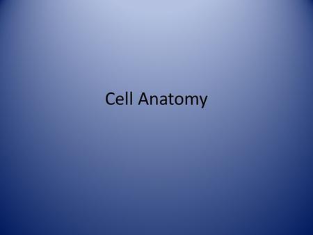 Cell Anatomy.