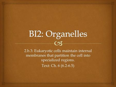 2.b.3: Eukaryotic cells maintain internal membranes that partition the cell into specialized regions. Text: Ch. 6 (6.2-6.5)