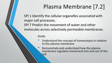 Plasma Membrane [7.2] Goals: Understand the concept of homeostasis in relation to the plasma membrane Demonstrate and understand how the plasma membrane.