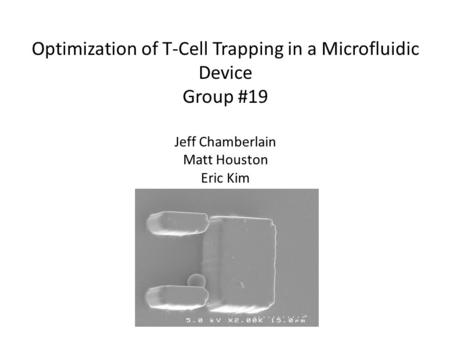 Optimization of T-Cell Trapping in a Microfluidic Device Group #19 Jeff Chamberlain Matt Houston Eric Kim.