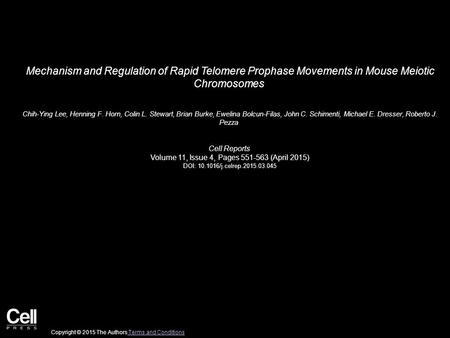 Mechanism and Regulation of Rapid Telomere Prophase Movements in Mouse Meiotic Chromosomes Chih-Ying Lee, Henning F. Horn, Colin L. Stewart, Brian Burke,