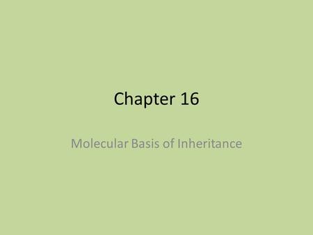 Chapter 16 Molecular Basis of Inheritance. DNA genetic material Chromosomes composed of DNA + protein.