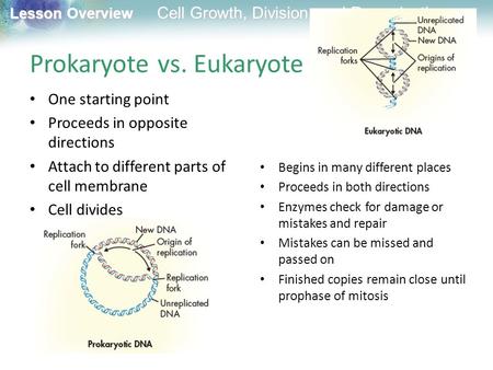 Lesson Overview Lesson Overview Cell Growth, Division, and Reproduction Prokaryote vs. Eukaryote One starting point Proceeds in opposite directions Attach.