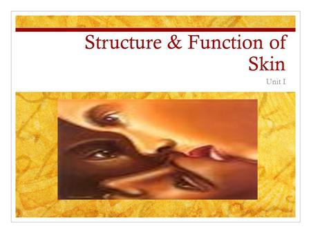 Structure & Function of Skin Unit I. Do Now Take Ten Minutes to describe what is the purpose of skin.