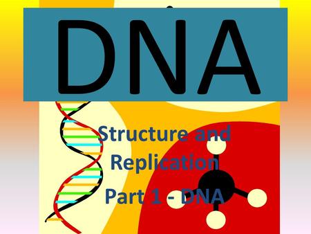 Structure and Replication Part 1 - DNA