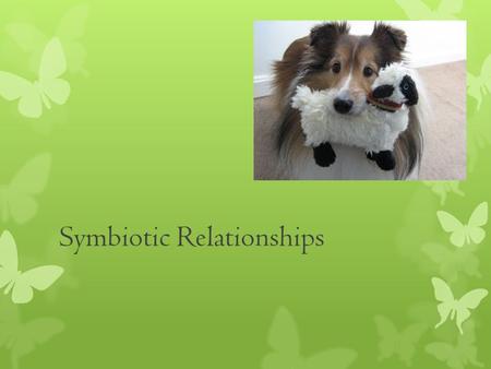 Symbiotic Relationships Symbiosis- Any relationship in which two species live closely together. 3 Types of symbiosis: 1. Mutualism 2. Commensalism 3.