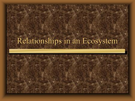 Relationships in an Ecosystem. SYMBIOSIS A relationship where 2 species live closely together.