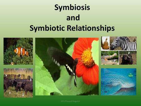 Symbiosis and Symbiotic Relationships