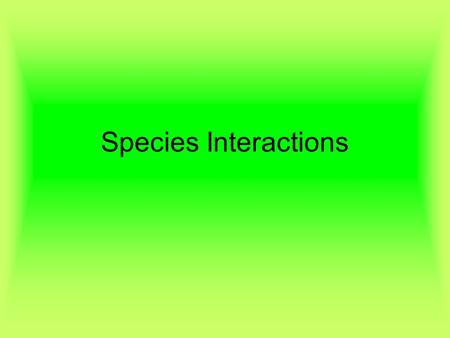 Species Interactions. Niche (“nitch”) A species role in its ecosystem Ex - Spiders eat many smaller insects, bees help to pollinate flowers. No two species.