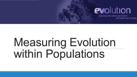 Measuring Evolution within Populations
