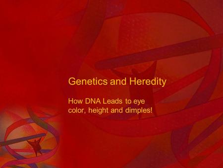 Genetics and Heredity How DNA Leads to eye color, height and dimples!