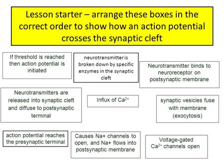 Lesson starter – arrange these boxes in the correct order to show how an action potential crosses the synaptic cleft If threshold is reached then action.