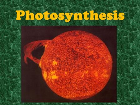 Photosynthesis. Energy & Life Photosynthesis is the process of capturing and transforming the energy of sunlight into chemical energy. (What type of organisms.