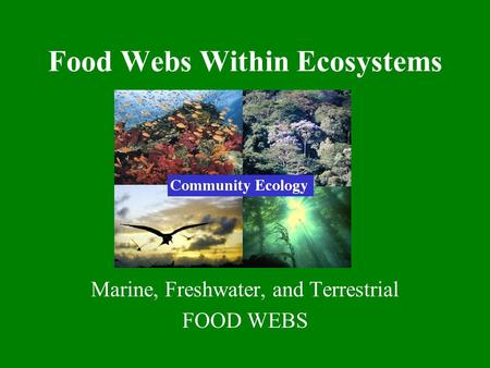 Food Webs Within Ecosystems