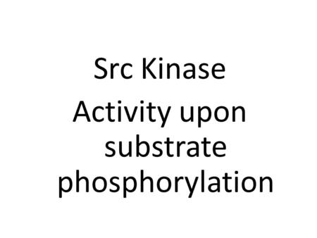 Src Kinase Activity upon substrate phosphorylation.