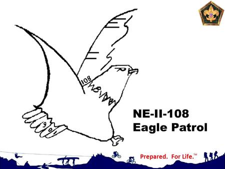 NE-II-108 Eagle Patrol Before we get going let me explain my totem.