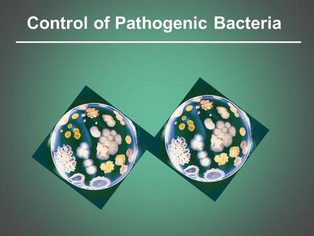 Control of Pathogenic Bacteria. Bacteria spread in various ways: 1. moisture droplets in the air 2. dust 3. direct contact 4. fecal contamination 5. animal.