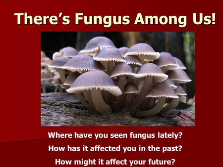 There’s Fungus Among Us! Where have you seen fungus lately? How has it affected you in the past? How might it affect your future?