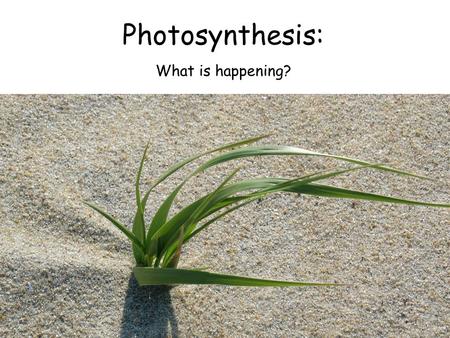 Photosynthesis: What is happening?. Have you ever heard water being called by a different name?