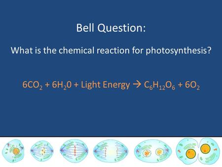 Bell Question: What is the chemical reaction for photosynthesis? 6CO 2 + 6H 2 0 + Light Energy  C 6 H 12 O 6 + 6O 2.