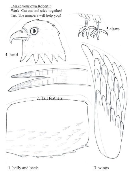 4. head 1. belly and back 5.claws 2. Tail feathers 3. wings „Make your own Robert!“ Work: Cut out and stick together! Tip: The numbers will help you!