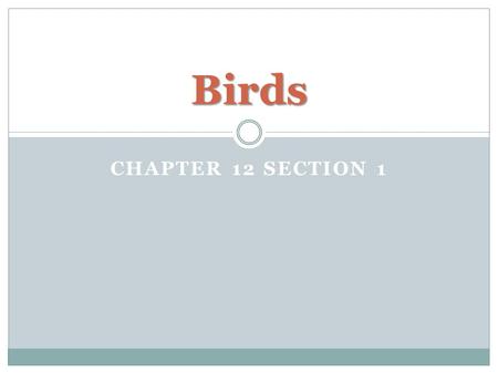 CHAPTER 12 SECTION 1 Birds. Characteristics of Birds Endotherm Vertebrate that has feathers Four-chambered heart Lays eggs Most can fly Scales on feet.