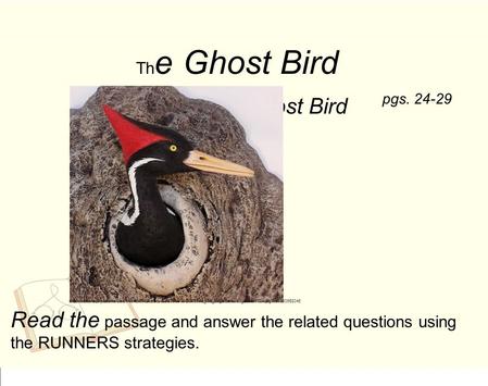 Th e Ghost Bird S aving the Ghost Bird Read the passage and answer the related questions using the RUNNERS strategies. pgs. 24-29