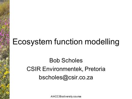 AIACC Biodiversity course Ecosystem function modelling Bob Scholes CSIR Environmentek, Pretoria