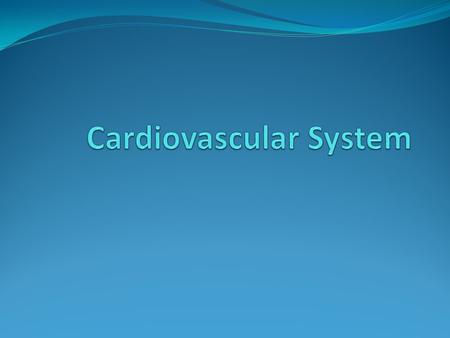 Functions of the Cardiovascular System Cardiovascular system is also known as the circulatory system Main functions are delivering materials to cells.