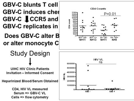 Study Design UIHC HIV Clinic Patients Invitation – Informed Consent Heparinized Blood/Serum Obtained CD4, HIV VL measured Serum => GBV-C VL Cells => flow.