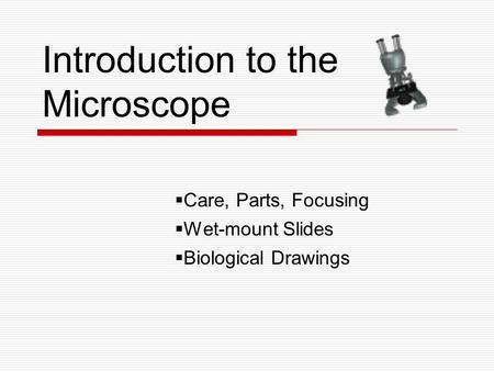 Introduction to the Microscope  Care, Parts, Focusing  Wet-mount Slides  Biological Drawings.