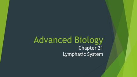 Advanced Biology Chapter 21 Lymphatic System.  Arteries  lymphatic vessels (lymphatics)