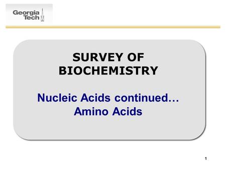 1 SURVEY OF BIOCHEMISTRY Nucleic Acids continued… Amino Acids.