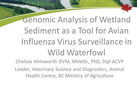 Genomic Analysis of Wetland Sediment as a Tool for Avian Influenza Virus Surveillance in Wild Waterfowl Chelsea Himsworth DVM, MVetSc, PhD, Dipl ACVP Leader,
