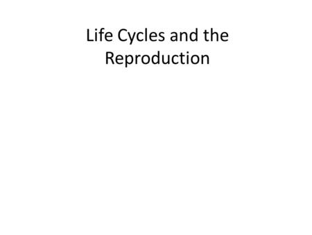 Life Cycles and the Reproduction. Life Cycle Life Cycle – the development of an organism from fertilization to birth, growth, reproduction, and death.